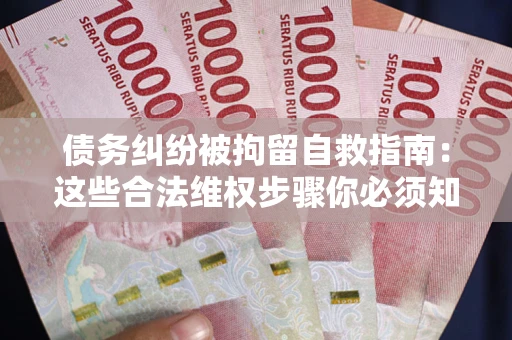 武汉债务纠纷被拘留自救指南：这些合法维权步骤你必须知道！