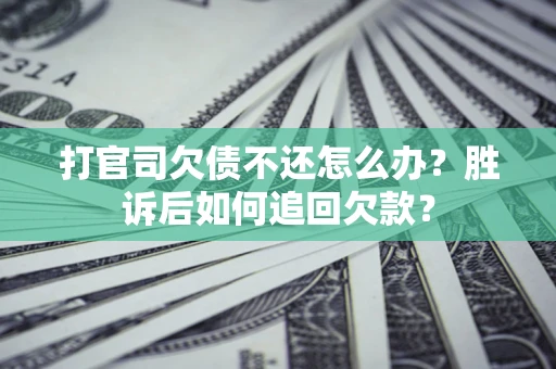 武汉打官司欠债不还怎么办？胜诉后如何追回欠款？