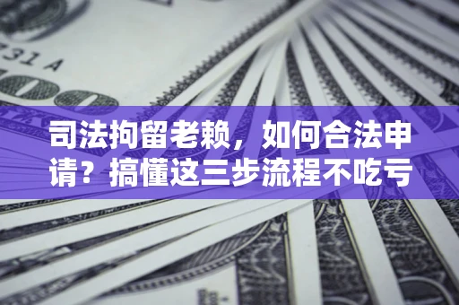 武汉司法拘留老赖，如何合法申请？搞懂这三步流程不吃亏！