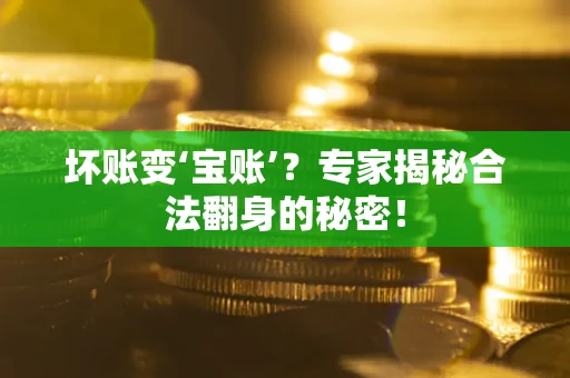 武汉坏账变‘宝账’？专家揭秘合法翻身的秘密！