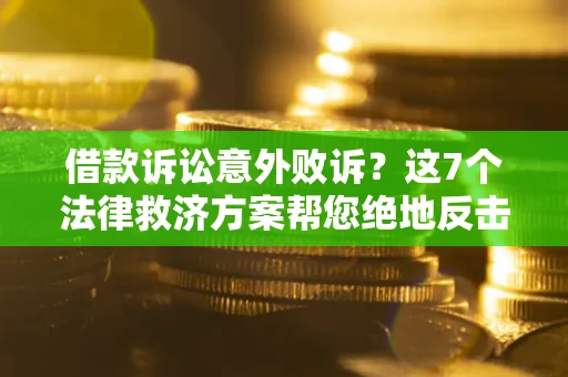 武汉借款诉讼意外败诉？这7个法律救济方案帮您绝地反击！