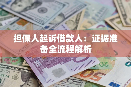 武汉担保人起诉借款人：证据准备全流程解析