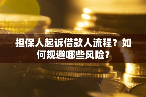 武汉担保人起诉借款人流程？如何规避哪些风险？