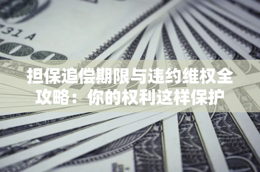 武汉担保追偿期限与违约维权全攻略：你的权利这样保护