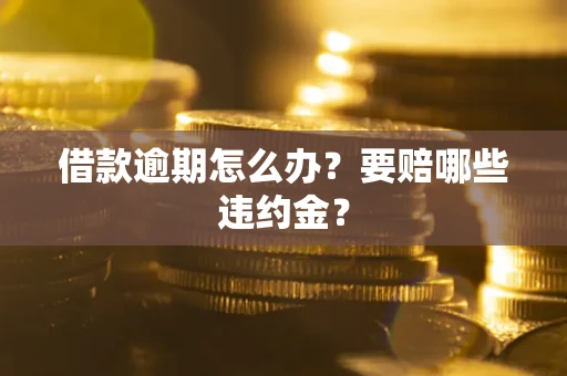 武汉借款逾期怎么办？要赔哪些违约金？