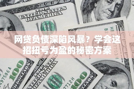 武汉网贷负债深陷风暴？学会这招扭亏为盈的秘密方案